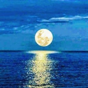 Meet your Posher, Sonia